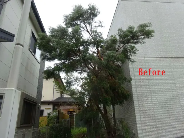 業歴45年以上！丁寧さを大切に、お客様と一緒に庭園作りをしていきます！年中無休サービスの画像