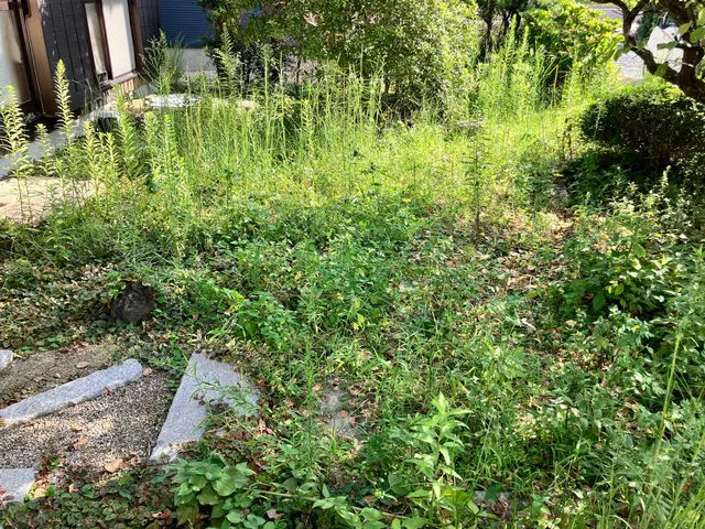 【2019くらマアワード受賞☆】ハウスクリーニング士★女性スタッフ同行☆サービスの画像