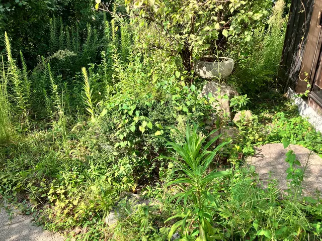 【2019くらマアワード受賞☆】ハウスクリーニング士★女性スタッフ同行☆サービスの画像