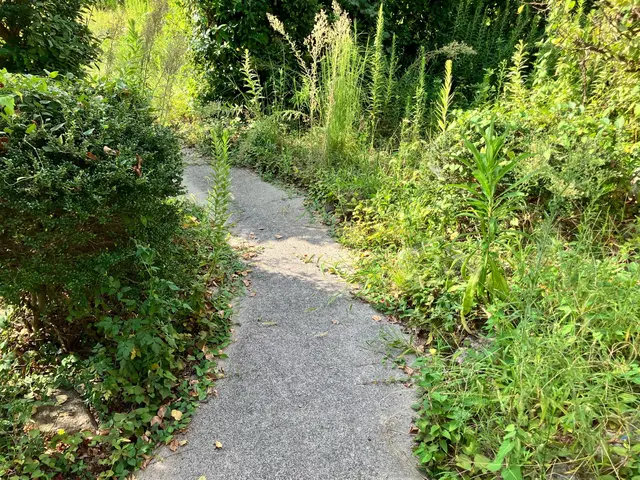 【2019くらマアワード受賞☆】ハウスクリーニング士★女性スタッフ同行☆サービスの画像