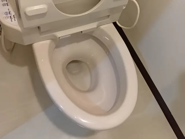 【年内枠1件で完売】お風呂・トイレ・シンク高評価・実績700件以上■墨田〜千葉サービスの画像