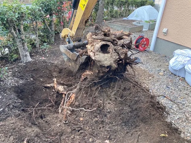 クレーン車で作業できるので高い木まで安全に作業できます！サービスの画像