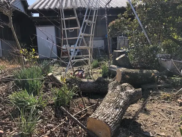 クレーン車で作業できるので高い木まで安全に作業できます！サービスの画像