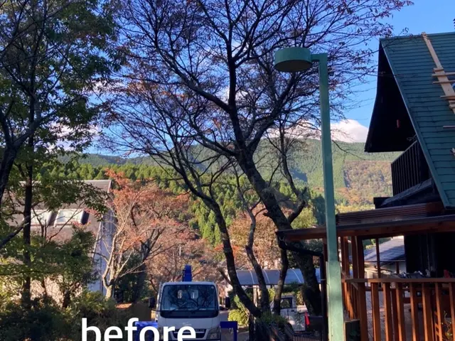 クレーン車で作業できるので高い木まで安全に作業できます！サービスの画像