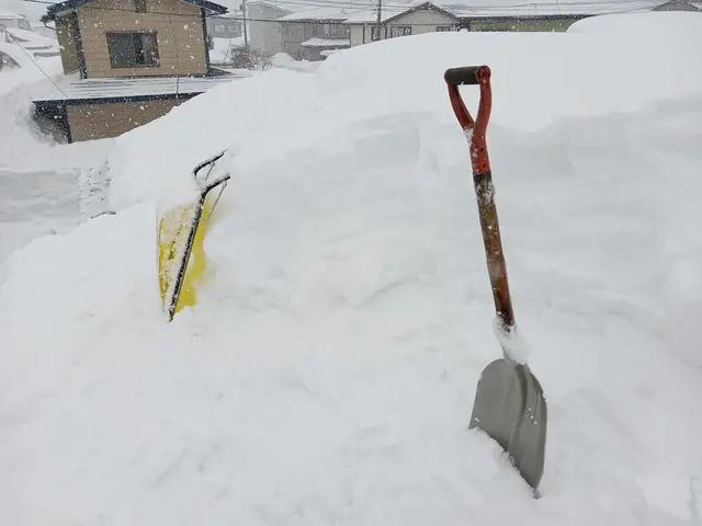雪かき・雪下ろし代行サービスの画像