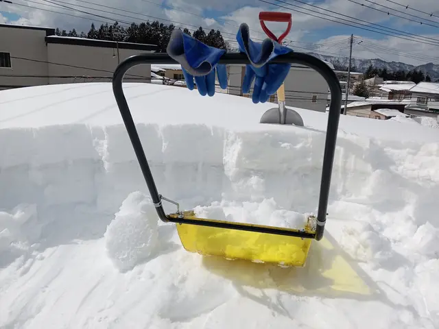 雪かき・雪下ろし代行サービスの画像