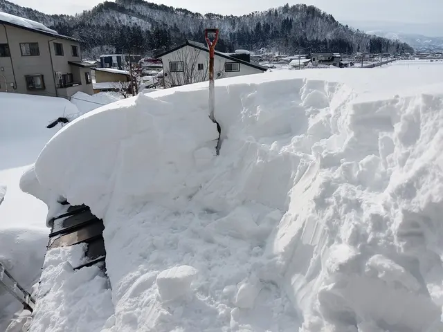 雪かき・雪下ろし代行サービスの画像