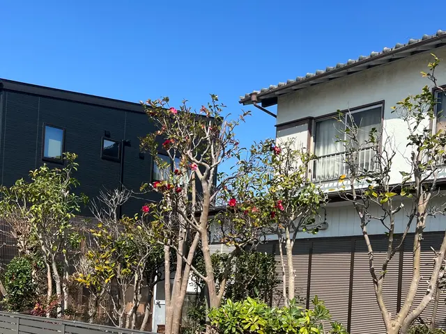 【剪定1本からOK】☆予約から施工まで100％自社対応☆【女性スタッフ同行可】サービスの画像