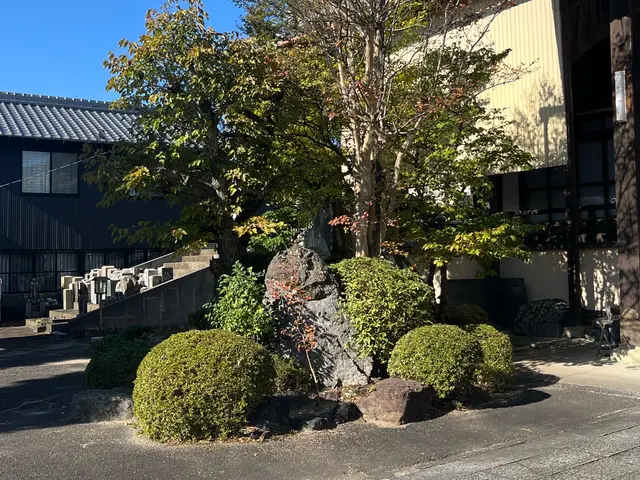 【剪定1本からOK】☆予約から施工まで100％自社対応☆【女性スタッフ同行可】サービスの画像