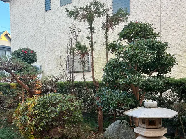 【剪定1本からOK】☆予約から施工まで100％自社対応☆【女性スタッフ同行可】サービスの画像