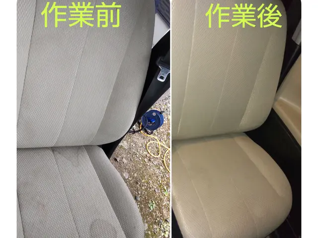 【車内まるごとウォッシュ！】安心安全アルカリ電解水でリンス清掃します★サービスの画像