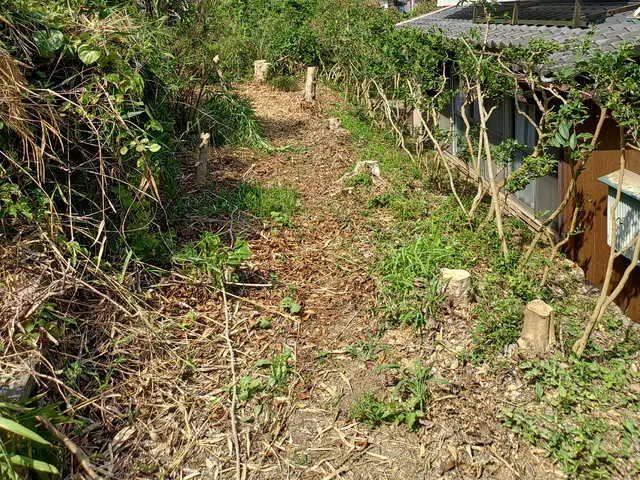 【7年/100件突破の実績】大手経験あり◉リピーター多数★大量の庭木もOKです！サービスの画像