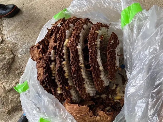 即日対応可能！6月空きあり！お家の危険をなくしましょう！サービスの画像