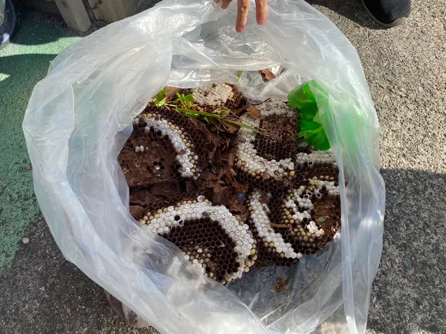 即日対応可能！6月空きあり！お家の危険をなくしましょう！サービスの画像