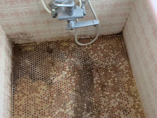 安心丁寧綺麗が売り！女性スタッフがお伺いします！サービスの画像