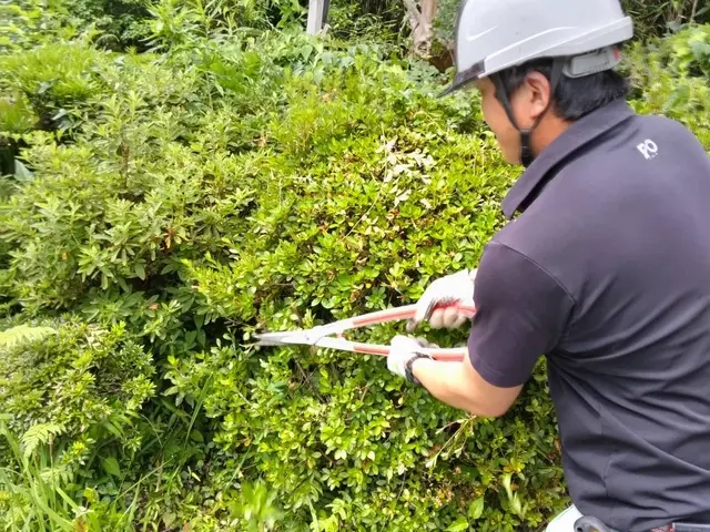造園業業界歴10年以上・実績1000件以上の庭木剪定専門店です！サービスの画像