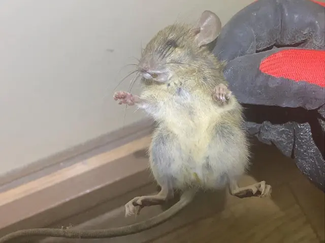 【再発防止】【施工の美しさ】プロの技術で安心◎土日祝もご予約大歓迎です。サービスの画像