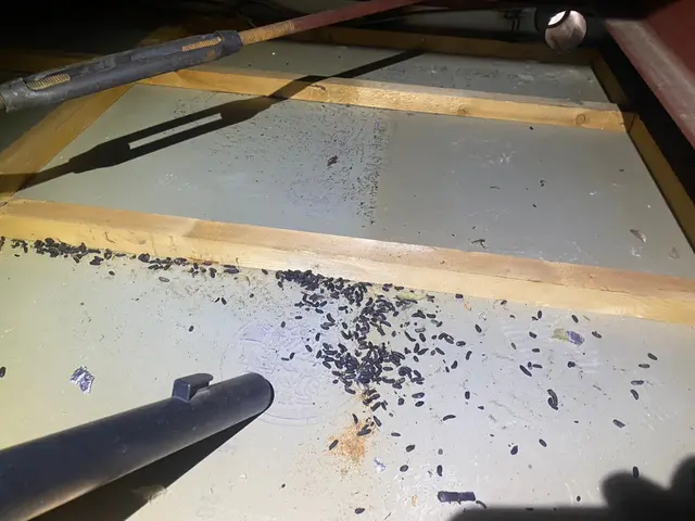 【再発防止】【施工の美しさ】プロの技術で安心◎土日祝もご予約大歓迎です。サービスの画像