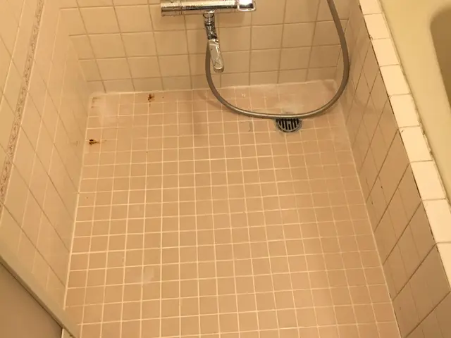 期間限定！カビ防止コートキャンペーンお風呂クリーニング！サービスの画像