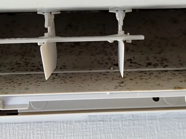 【年中無休】業歴10年の経験と実績！女性スタッフ同行可能！損害保険加入店サービスの画像