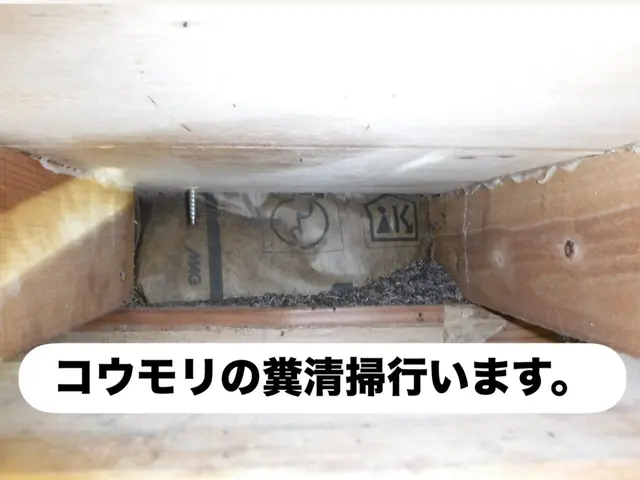 まずは完全無料見積もり！【即日対応も可能】大手経験10年以上！サービスの画像