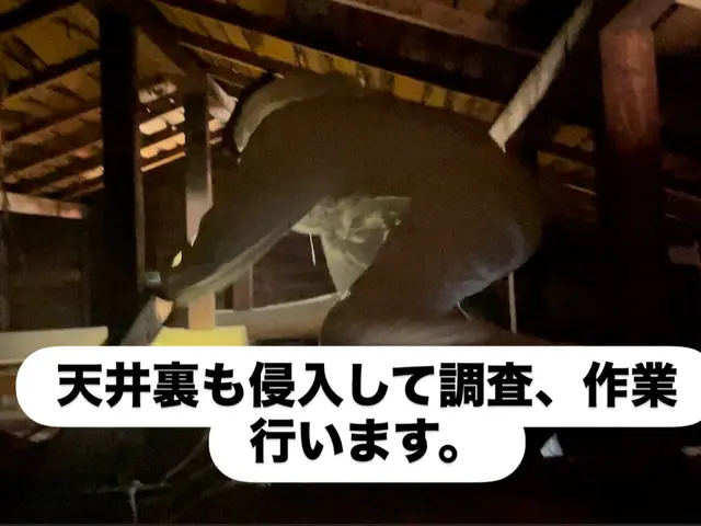 まずは完全無料見積もり！【即日対応も可能】大手経験10年以上！サービスの画像