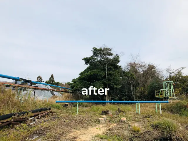 ★暮らしのそばに、頼れる伐採サービス　地域に根ざした、確かな技術とまごころ対応！サービスの画像