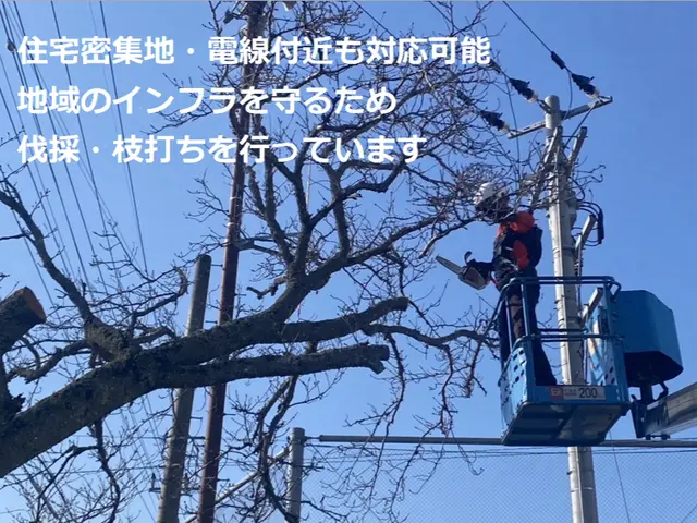 ★暮らしのそばに、頼れる伐採サービス　地域に根ざした、確かな技術とまごころ対応！サービスの画像