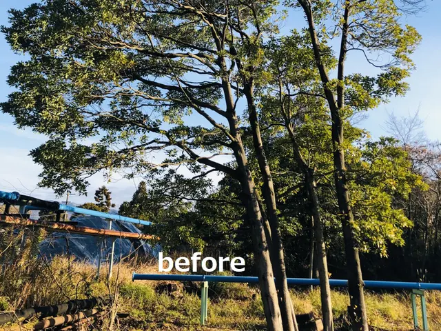 ★暮らしのそばに、頼れる伐採サービス　地域に根ざした、確かな技術とまごころ対応！サービスの画像