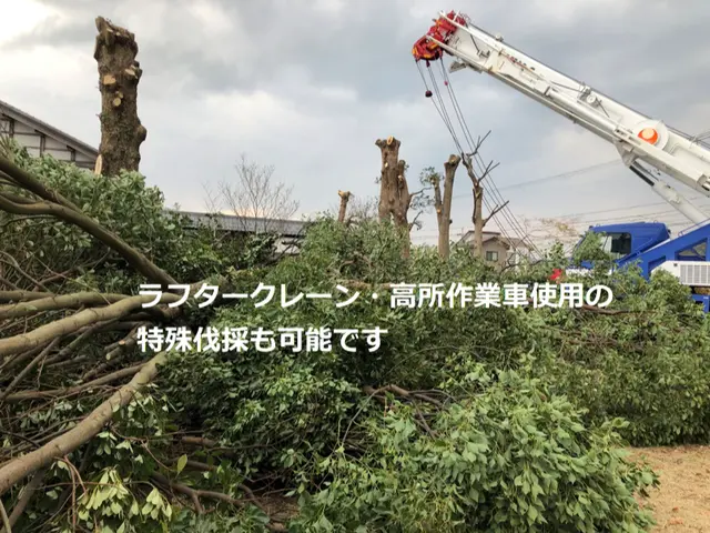 ★暮らしのそばに、頼れる伐採サービス　地域に根ざした、確かな技術とまごころ対応！サービスの画像