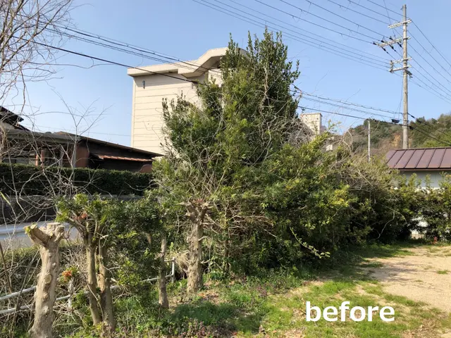 ★暮らしのそばに、頼れる伐採サービス　地域に根ざした、確かな技術とまごころ対応！サービスの画像