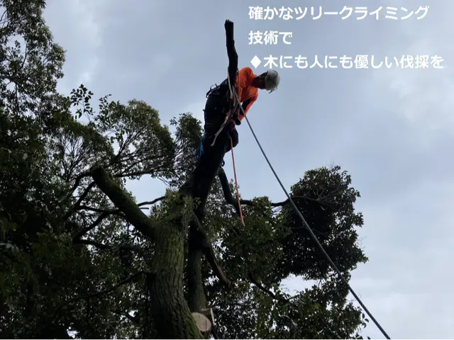 ★暮らしのそばに、頼れる伐採サービス　地域に根ざした、確かな技術とまごころ対応！サービスの画像