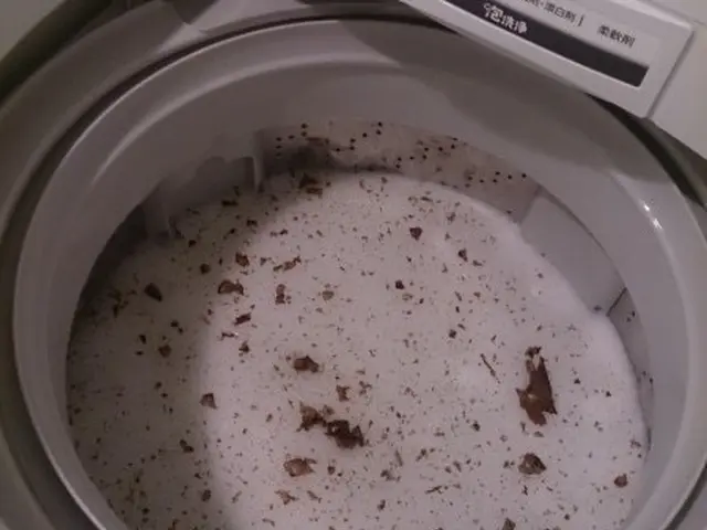 【縦型洗濯機お任せ下さい！】PayPay・他QR対応／複数割／損害保険加入サービスの画像