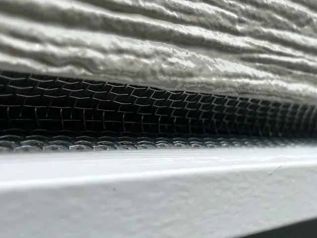 侵入封鎖コウモリ対策サービスの画像