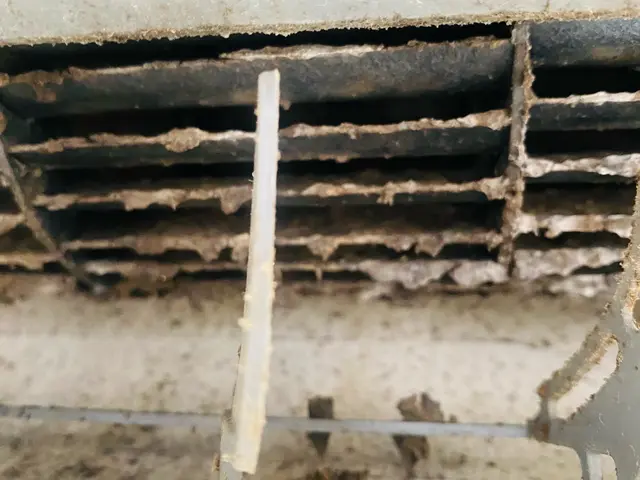 沼津市発◎損害保険加入済◎駐車代当店負担◎まごころ込めてピカピカにいたします！サービスの画像