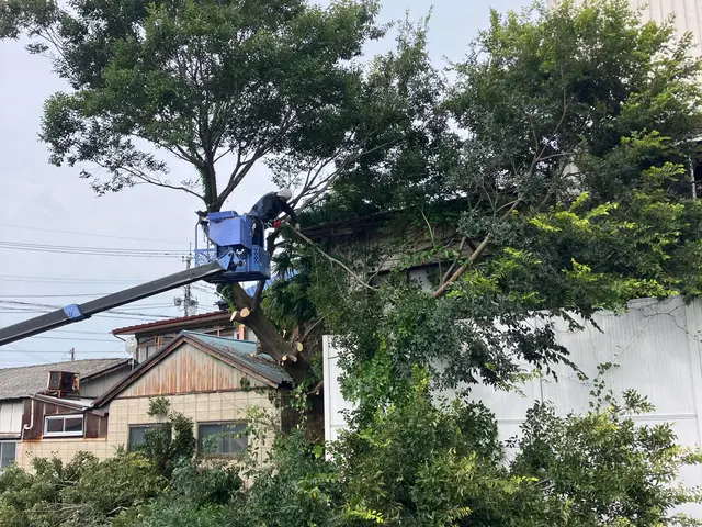 豊富な人材ですぐに対応、丁寧に、一本一本仕上げます。切れない木はありません！サービスの画像