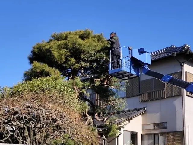 豊富な人材ですぐに対応、丁寧に、一本一本仕上げます。切れない木はありません！サービスの画像