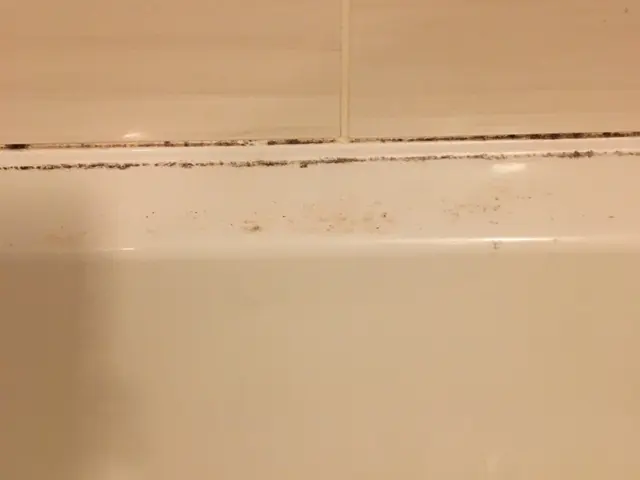 水回り3点セット　しっかりと時間をかけて仕上げます。サービスの画像