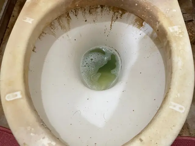 ☆駐車場代無料サービス☆◎損害保険加入で安心！◎女性スタッフも在籍♪サービスの画像