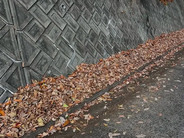 対応件数300件超！狭い箇所から広い範囲まで対応可！誠心誠意で丁寧に対応します！サービスの画像