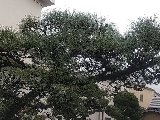 《損害保険加入済み☆》対応地域以外のご予約の相談可能です！サービスの画像