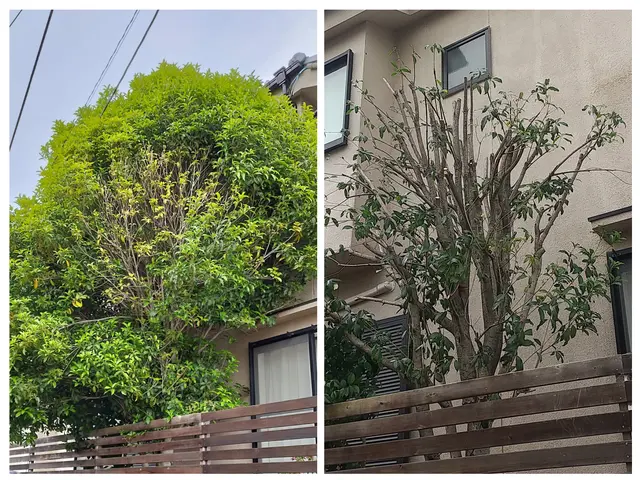 《損害保険加入済み☆》対応地域以外のご予約の相談可能です！サービスの画像
