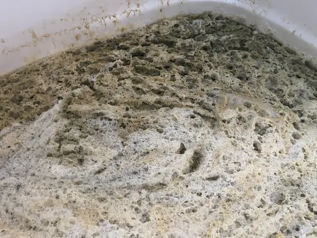 ◆店長の私がお伺いします◎大手業務経験豊富◎アフターフォローもばっちり！サービスの画像