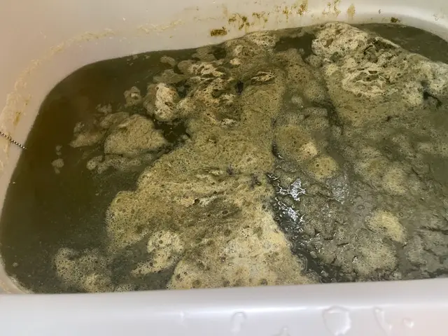 ◆店長の私がお伺いします◎大手業務経験豊富◎アフターフォローもばっちり！サービスの画像