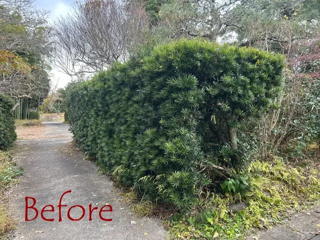 『この庭があって良かった！』と思える仕上がりに。高品質な剪定サービス。サービスの画像
