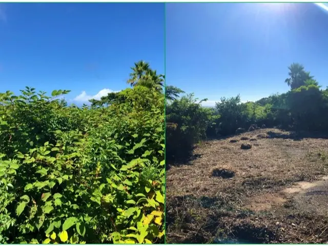 【お庭ケアサービス】空地・お庭・斜面・駐車場の草刈りはお任せください！サービスの画像