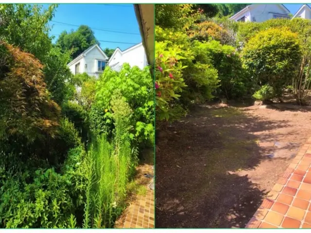 【お庭ケアサービス】空地・お庭・斜面・駐車場の草刈りはお任せください！サービスの画像