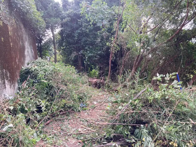 プロの技術でご満足いただけるように心を込めて作業いたしますサービスの画像