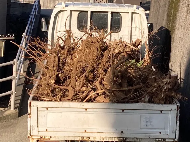 プロの技術でご満足いただけるように心を込めて作業いたしますサービスの画像