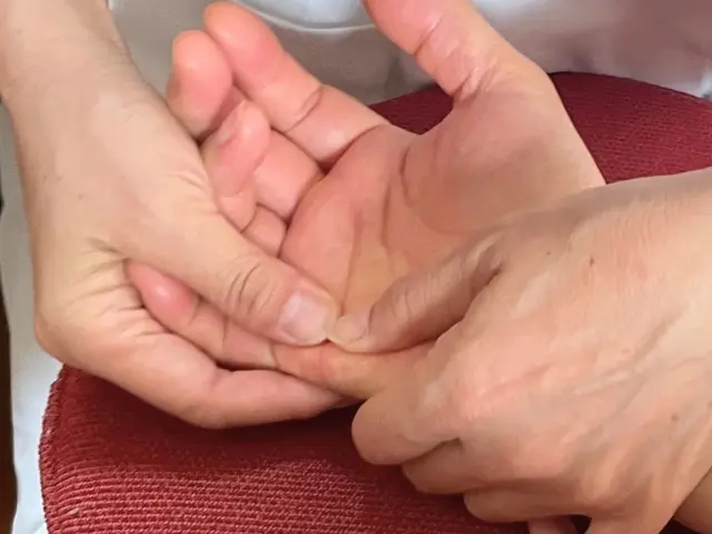 【コリ・痛み・しびれ専門】新リンパ療法と温熱セラピーで根本改善を目指す出張整体サービスの画像